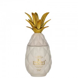 PINAQ COLADA LIQUEUR 0.05L